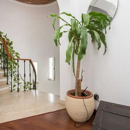 Lovely Family House Holiday home