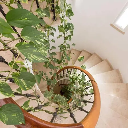 Lovely Family House *